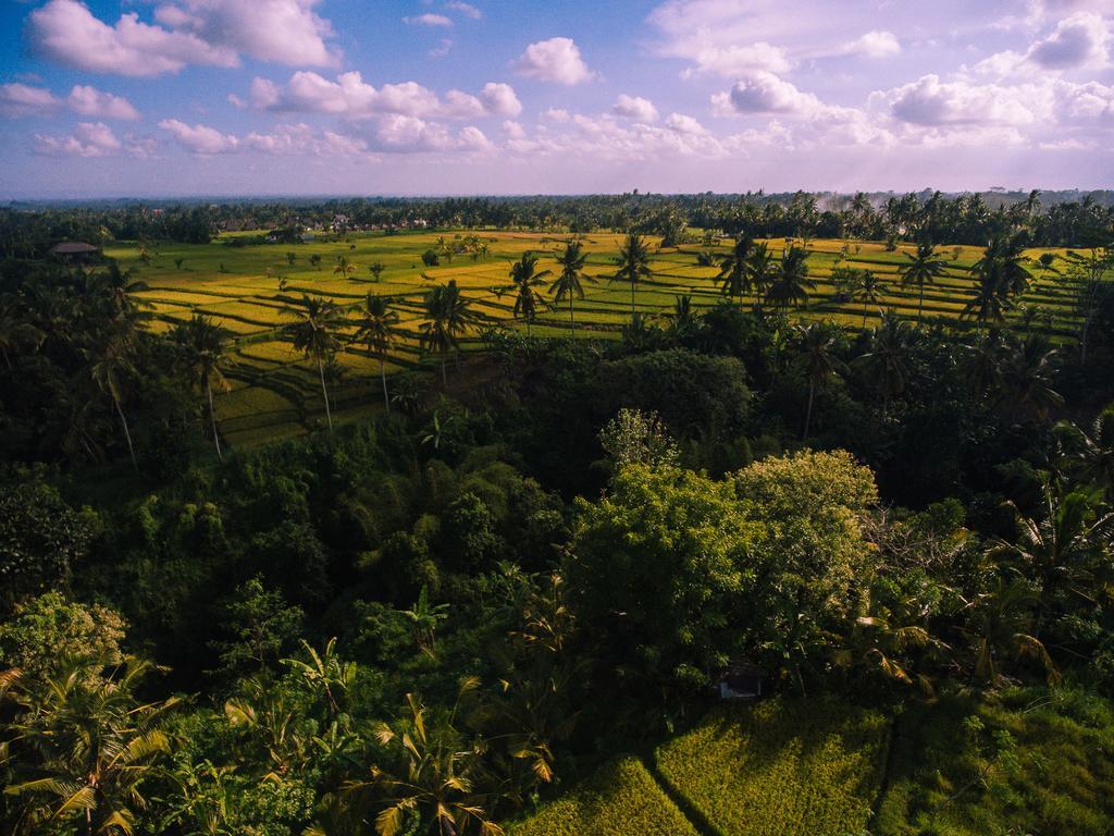 B Saya Villas Ubud Eksteriør billede