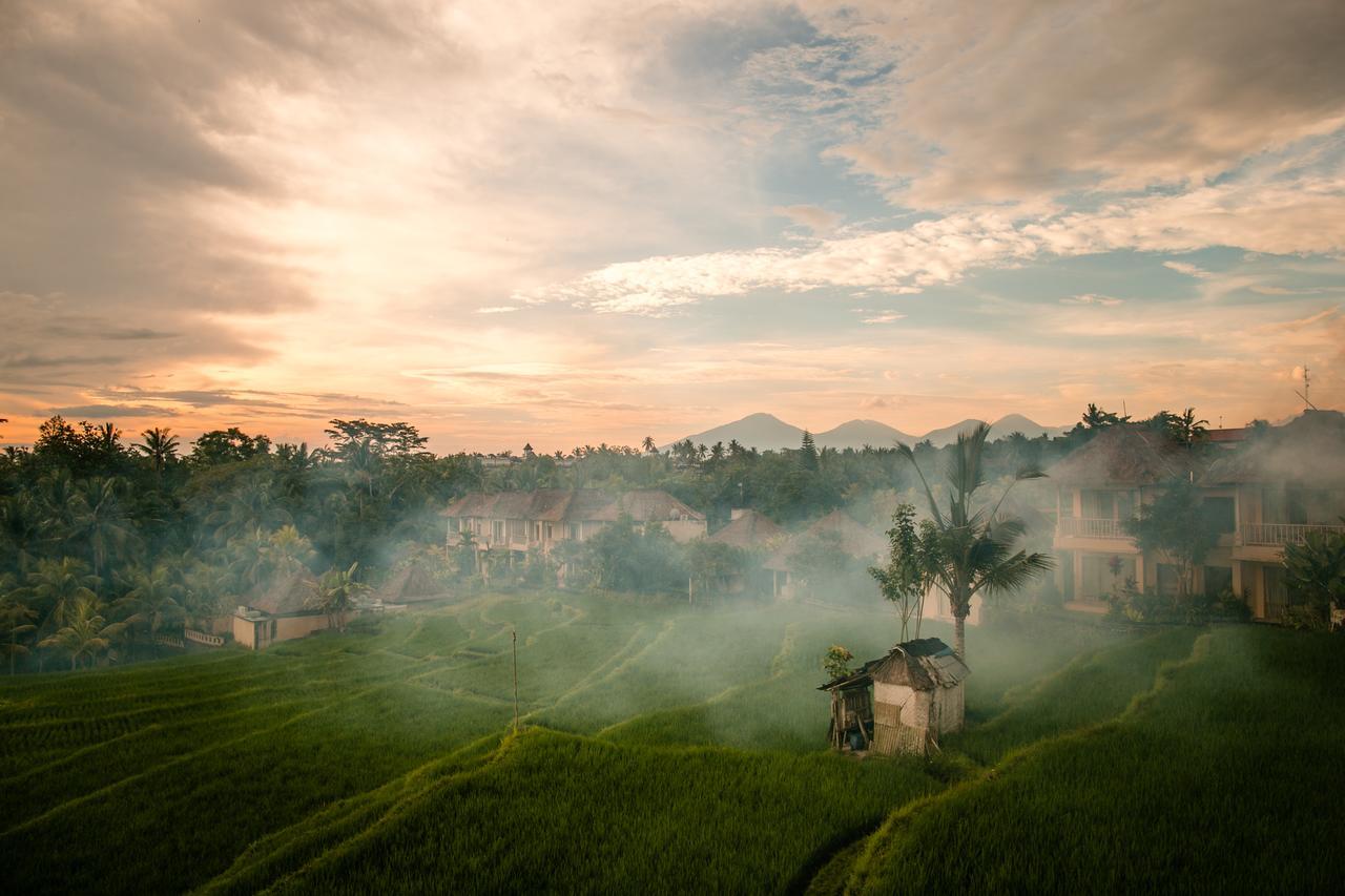 B Saya Villas Ubud Eksteriør billede